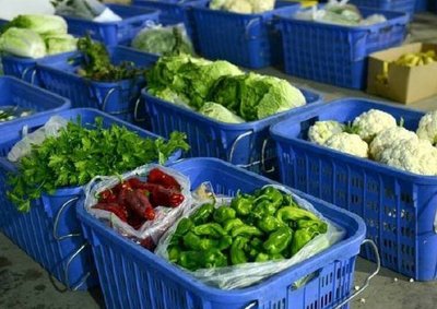 工厂食材配送 新鲜蔬菜的供应之道