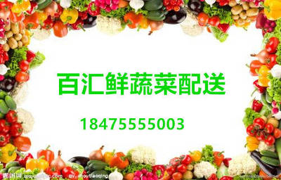 深圳市光明区公明蔬菜配送 构建市场新体系，保障市民新鲜菜篮