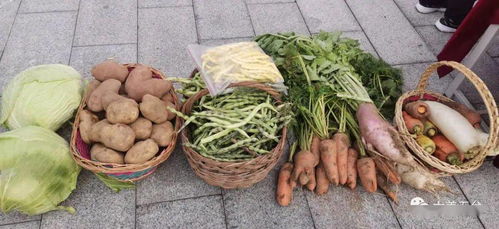 庆丰收感党恩跟党走 五台各乡镇农产品争艳，绿色蔬菜正飘香