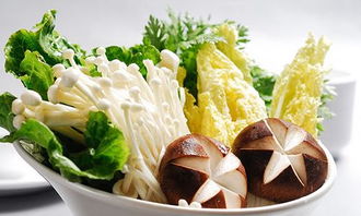 有机食品产业 以新鲜蔬菜为引领，迈向新型食品支柱产业