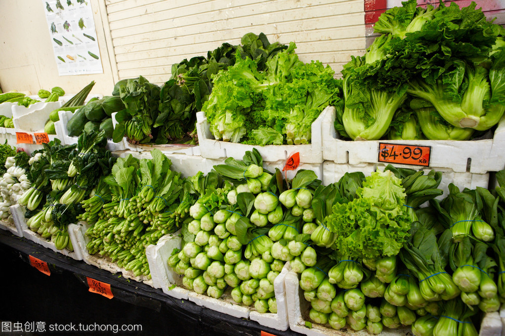 新鲜蔬菜 健康生活的绿色宝藏